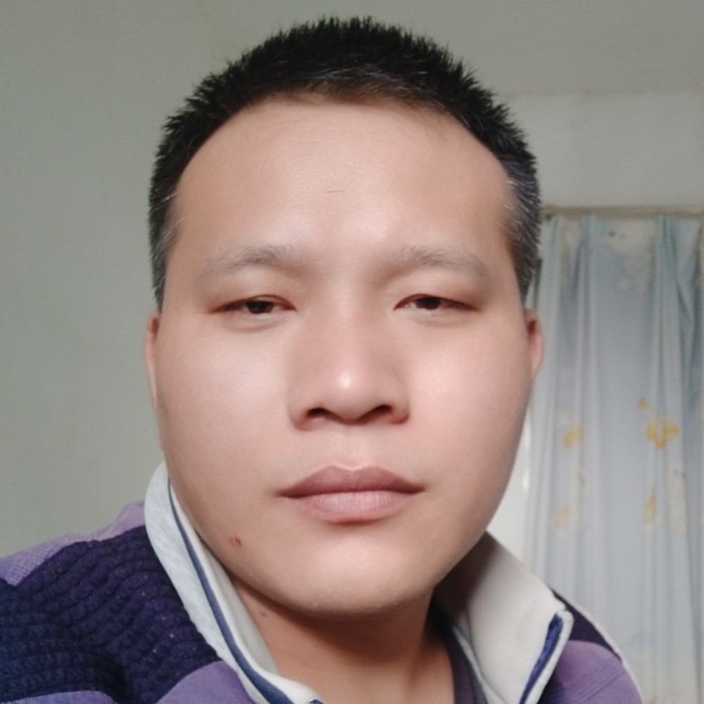 聪明的笨笨的照片