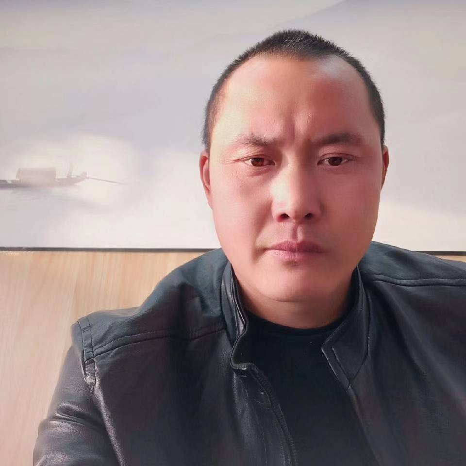 灰狼相许缓慢的照片