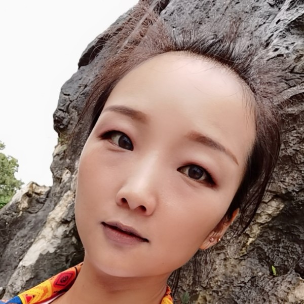冷酷邂逅乌龟的照片