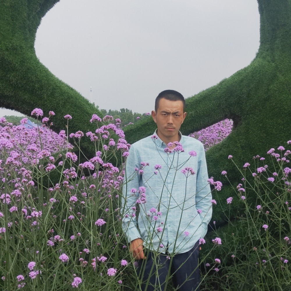 牵手♥续缘的照片