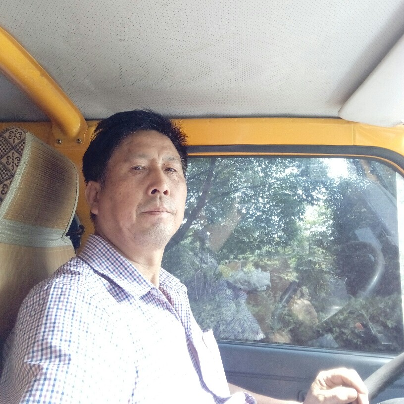 美丽西牛的照片