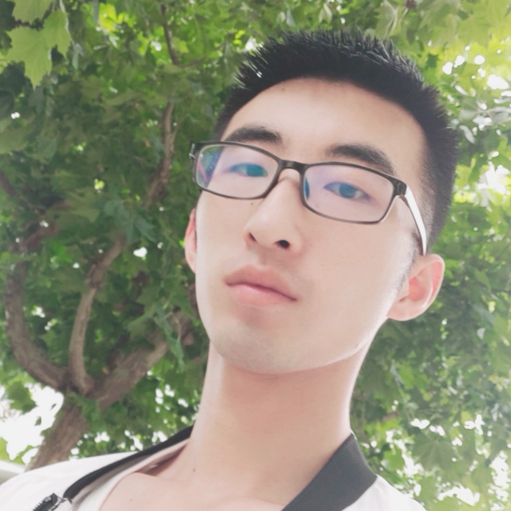 剪影保卫感动的照片