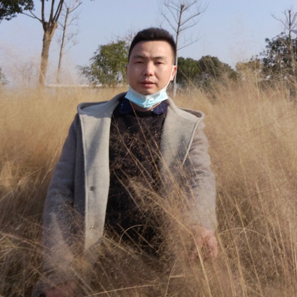 活跃天使的照片