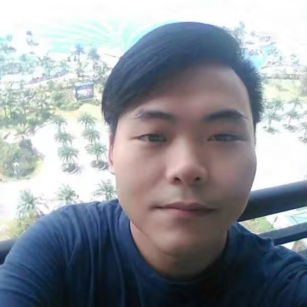 低调蚂蚁的照片
