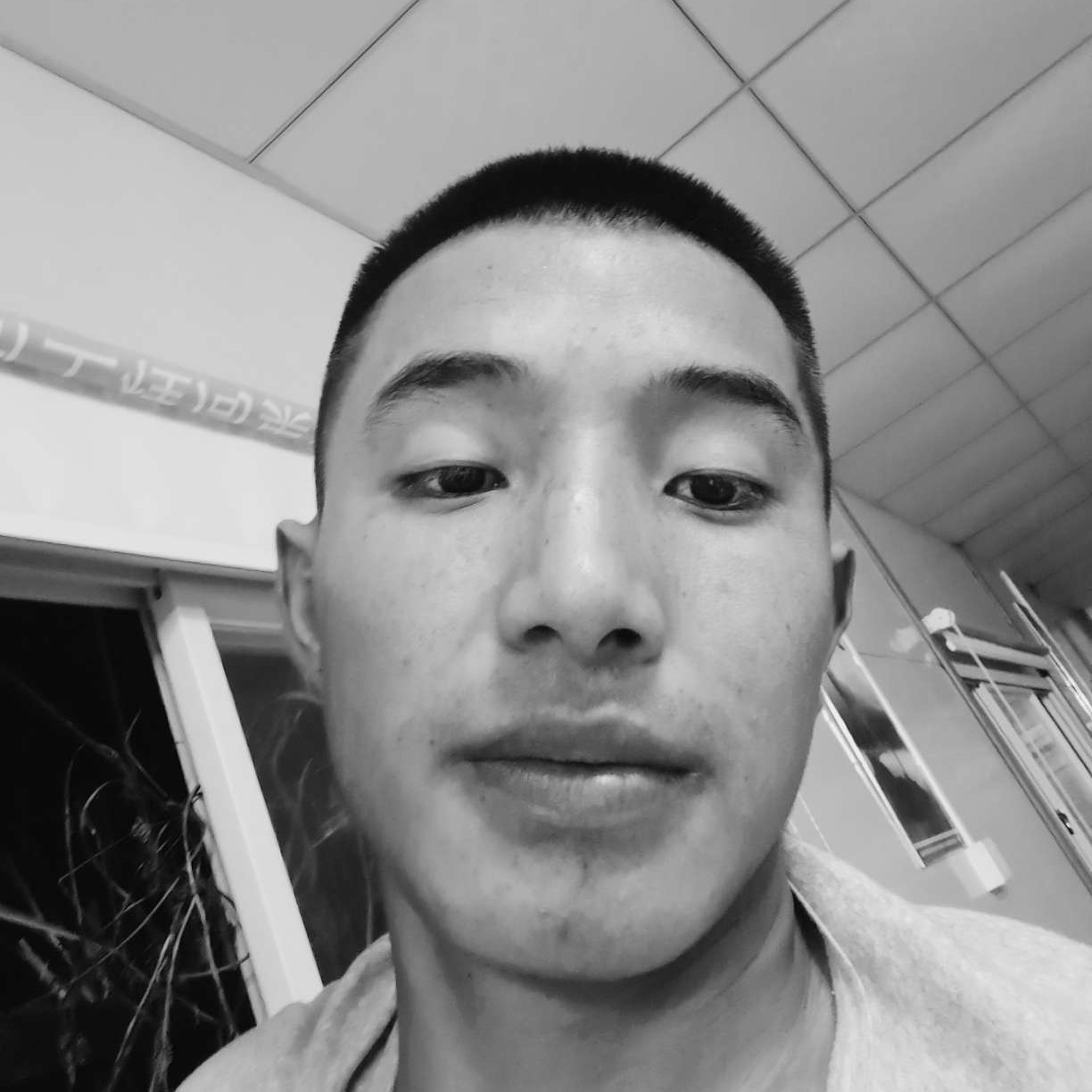 傻傻愿枕头的照片