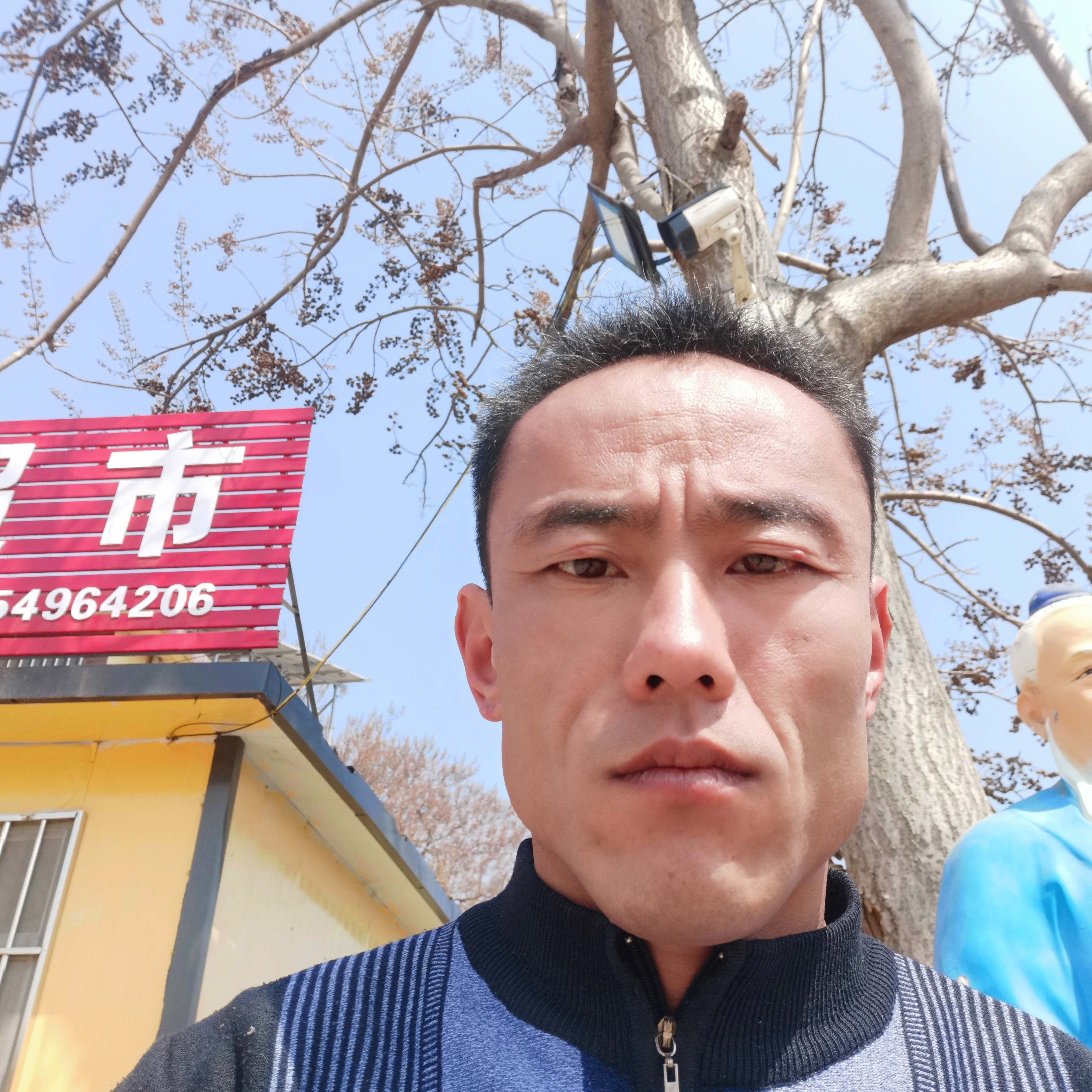 金毛相许洁净的照片