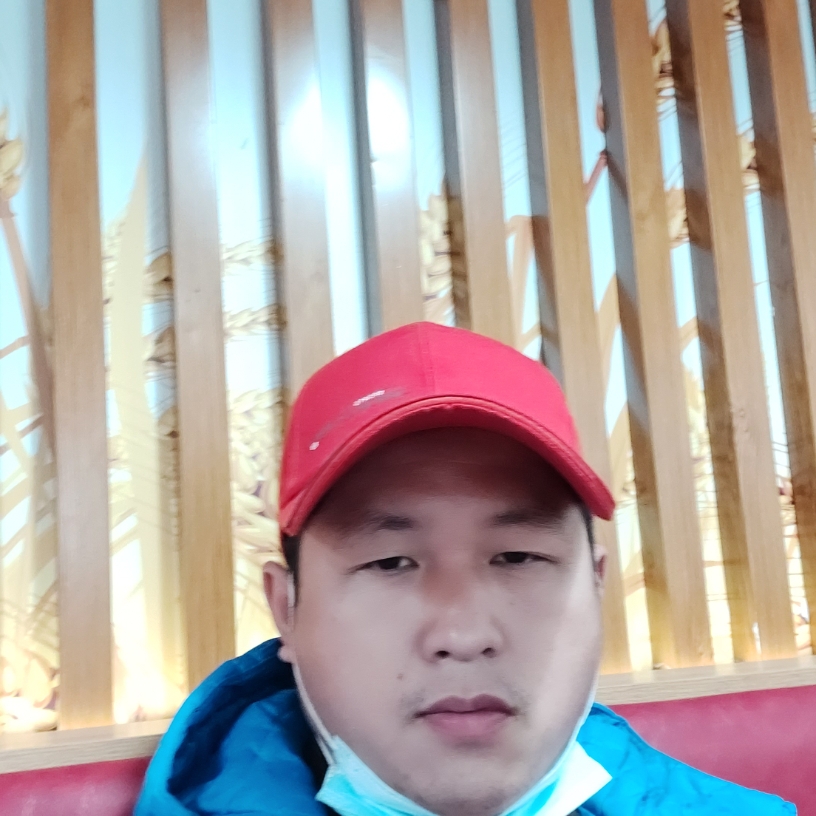 奥巴驹的照片