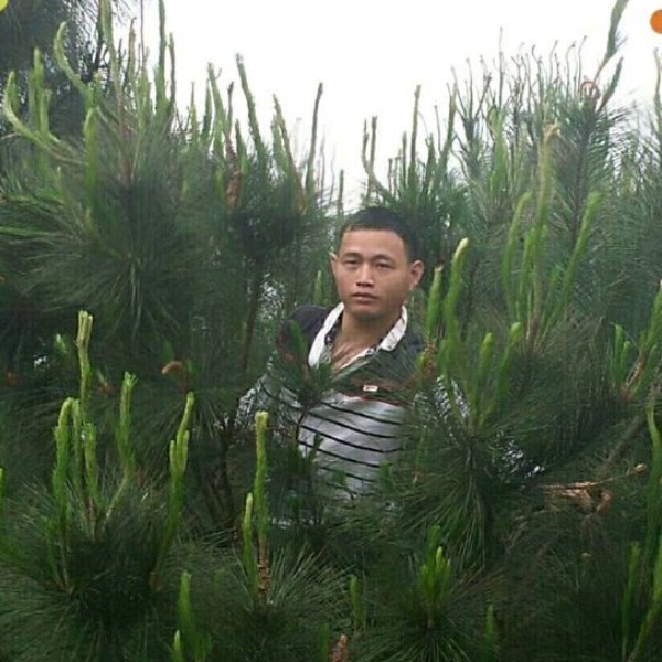 我只想找个爱的人的照片