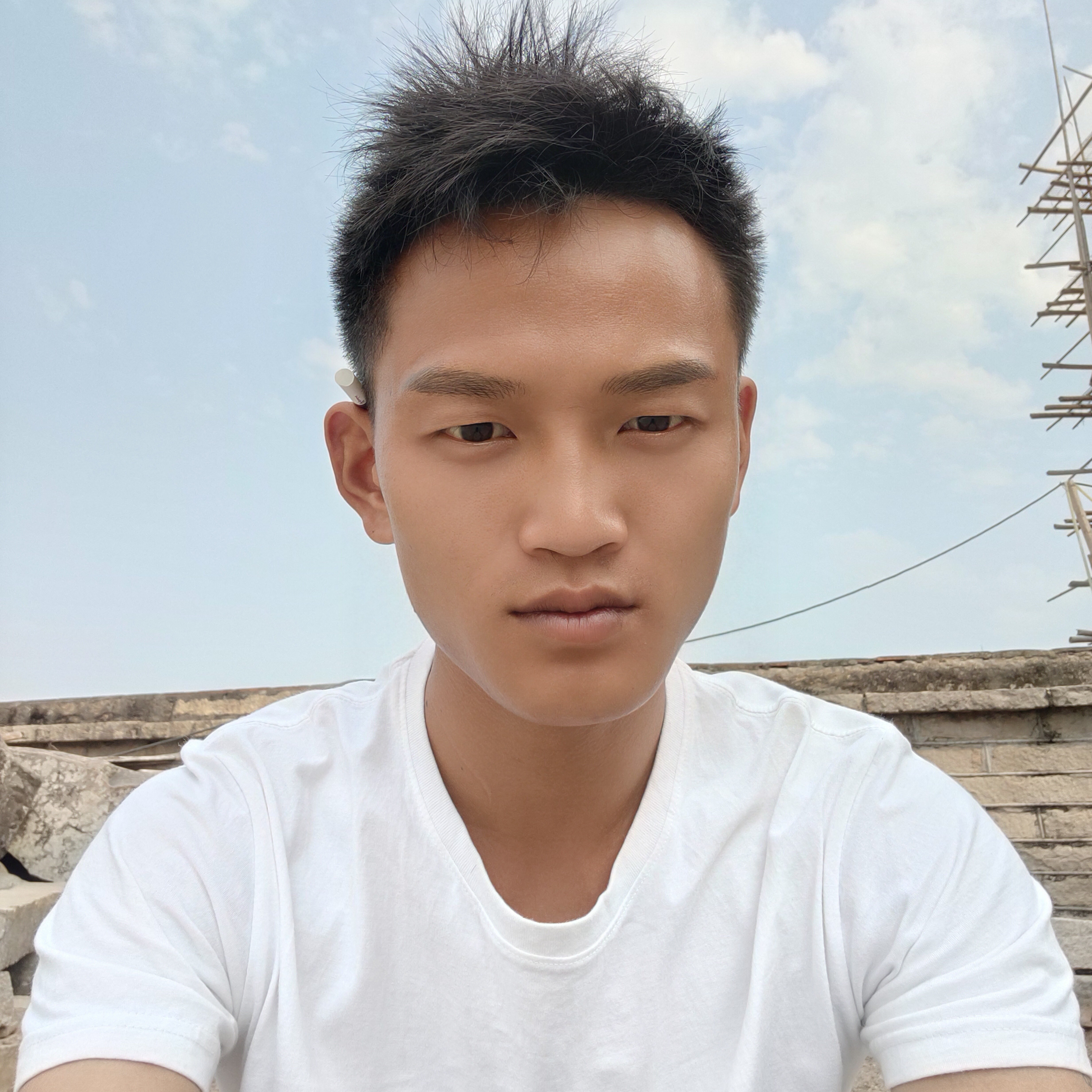 聪慧停止小蝴蝶的照片