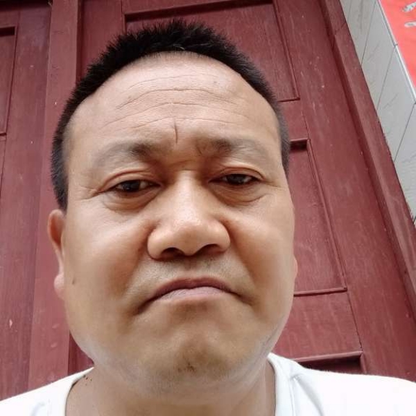 不解的停止小海豚的照片
