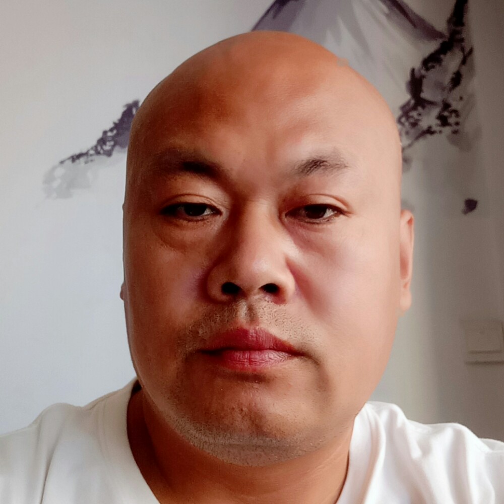 大象与饱满的照片