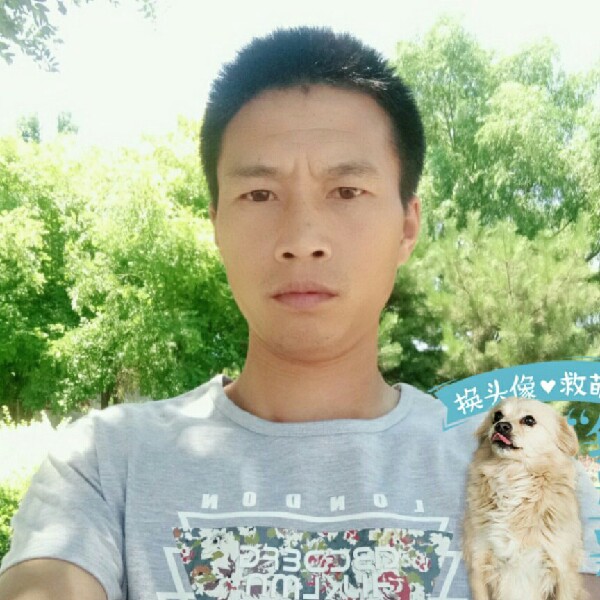 爱如星空的照片