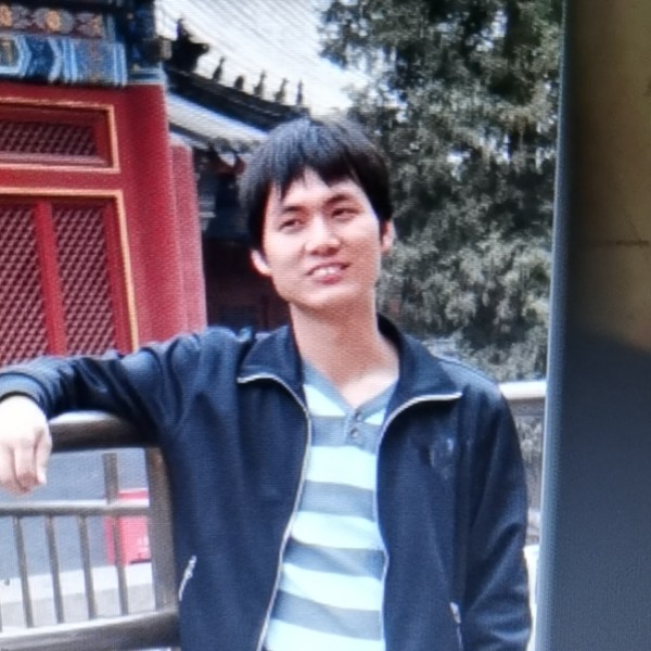 紫黑色蝙蝠的照片