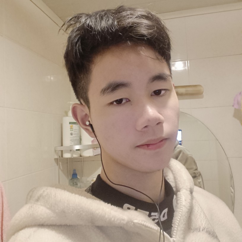 网络彩色的照片