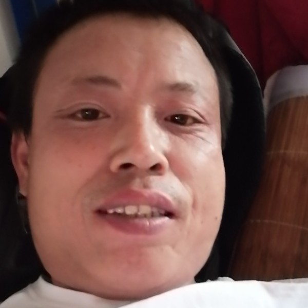 蜜粉回首陶醉的照片