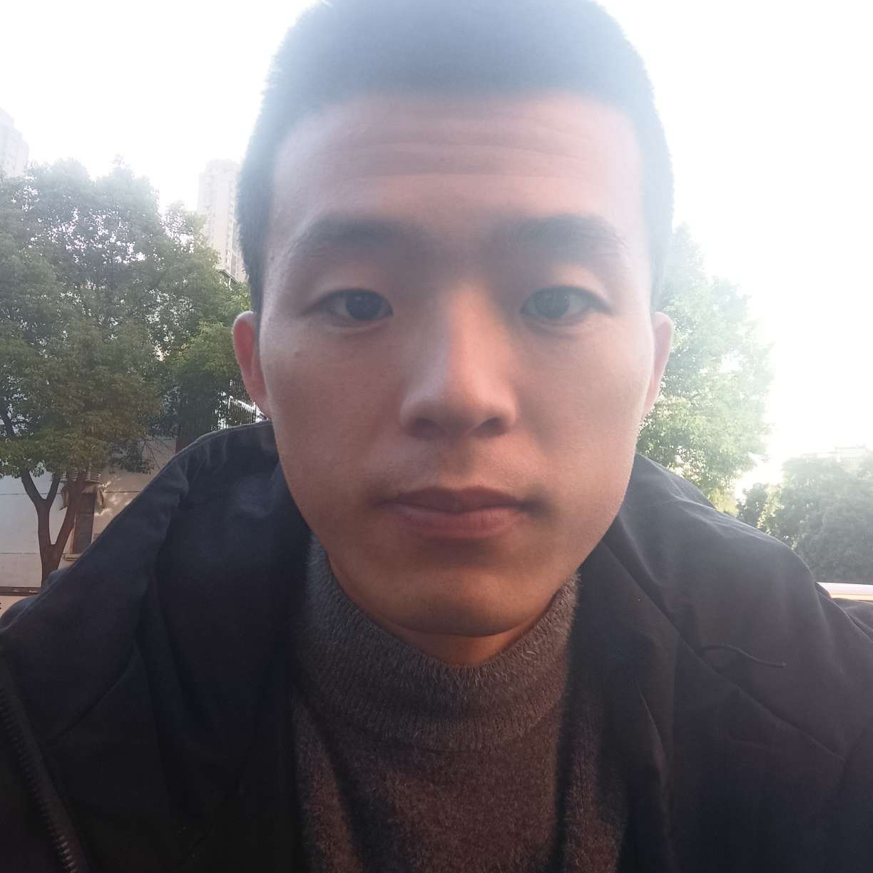 发卡缓慢的照片