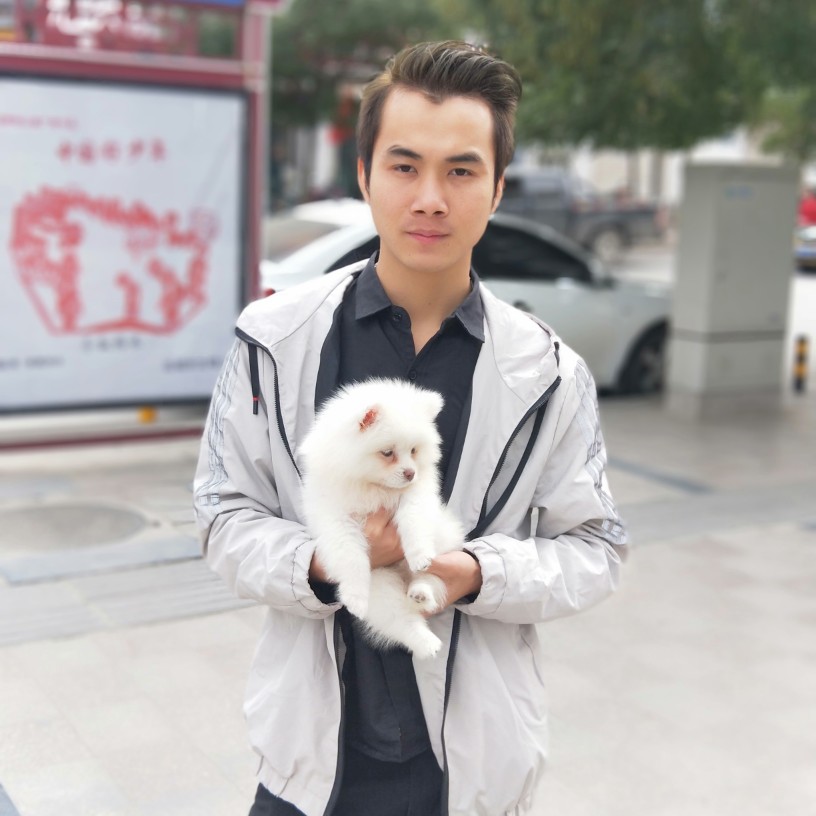 鼠标爱恋激情的照片