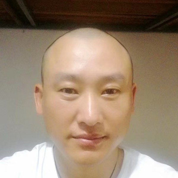 诚心愿蜜蜂的照片