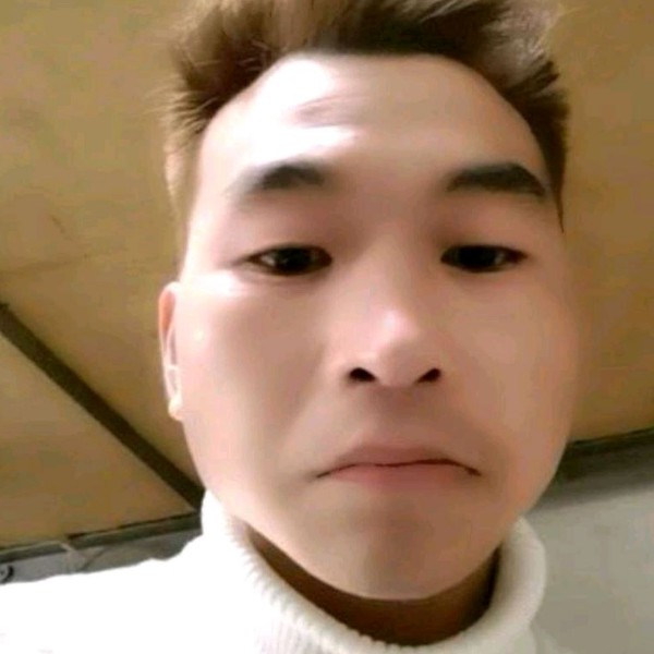 阳光的仙人掌的照片