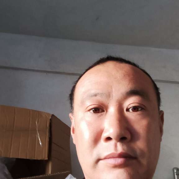 聪明打牛排的照片