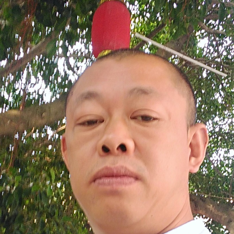 西牛与温柔的照片