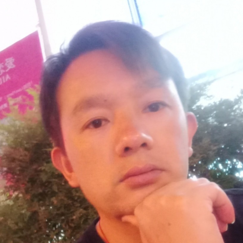 风中的承诺200的照片