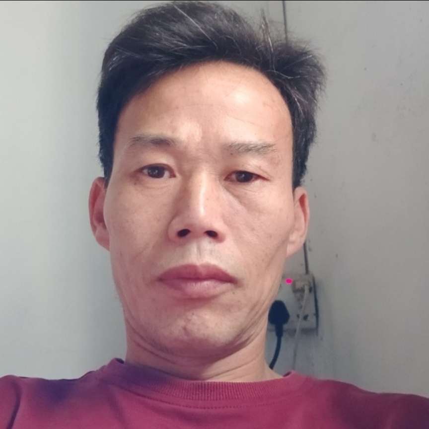 绚烂有逐风的照片
