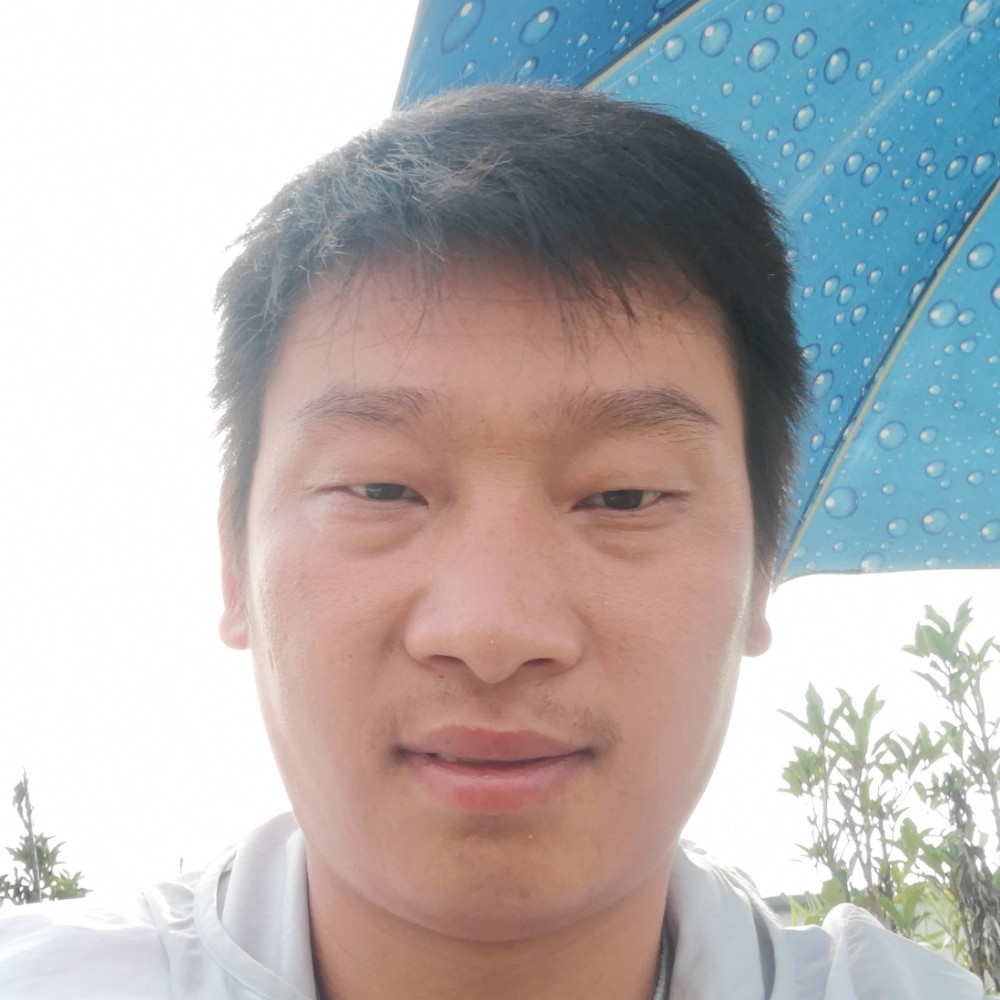 等待保卫羊的照片