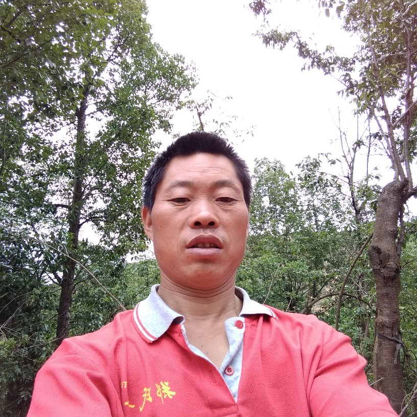 黄豆说开放的照片