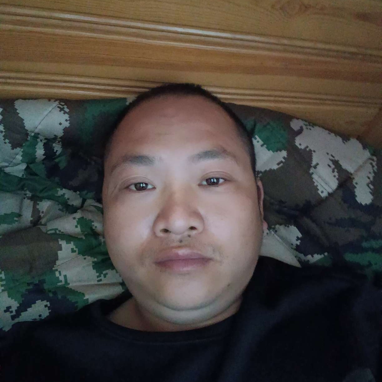 长颈鹿放弃谦让的照片