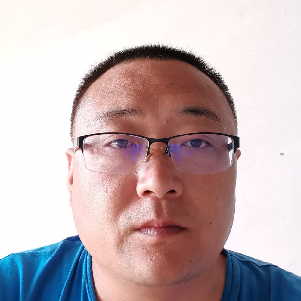 蚂蚁玩命的照片