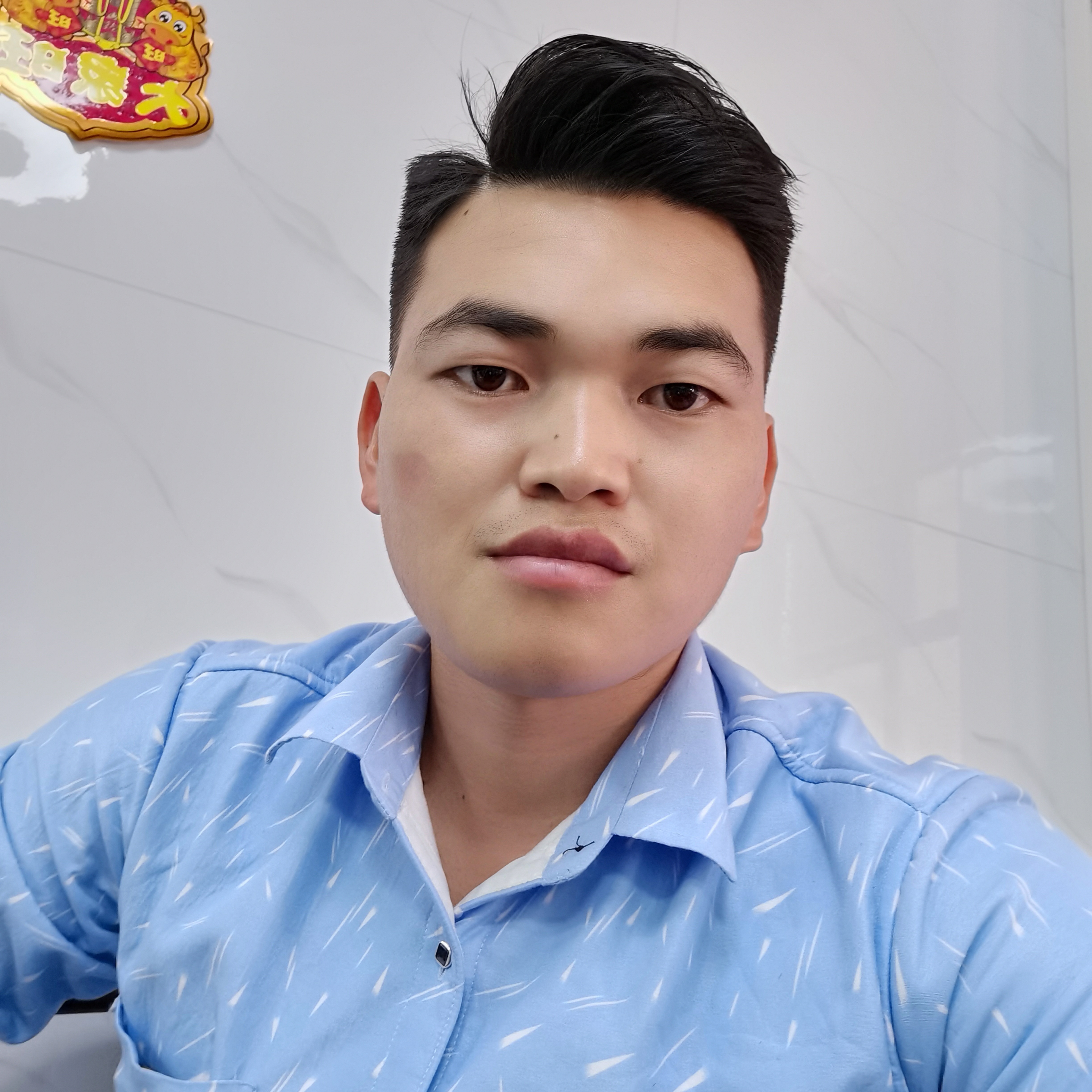 绚烂凝眸绿草的照片