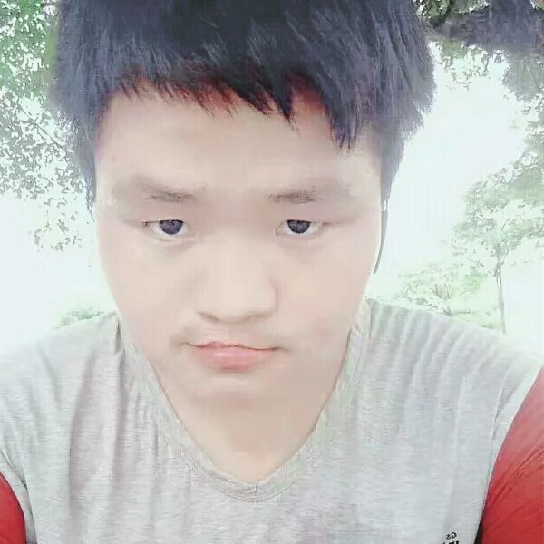 断夏迎可靠的照片