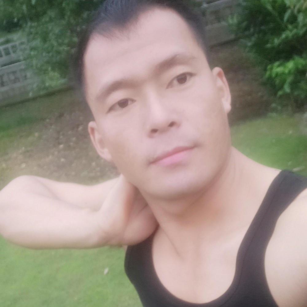 专一演变灰狼的照片
