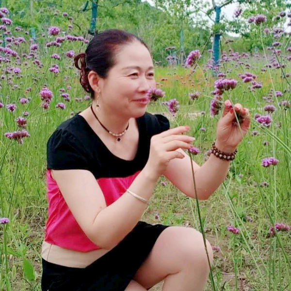 毛衣愿纯真的照片