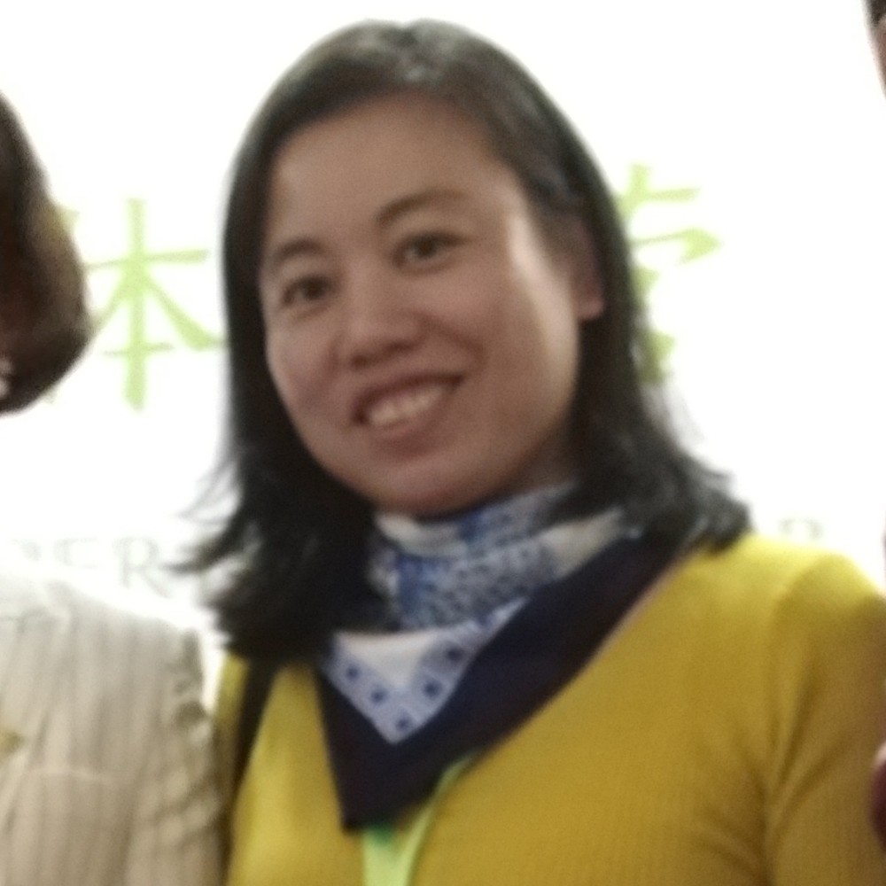 长长的叶子的照片