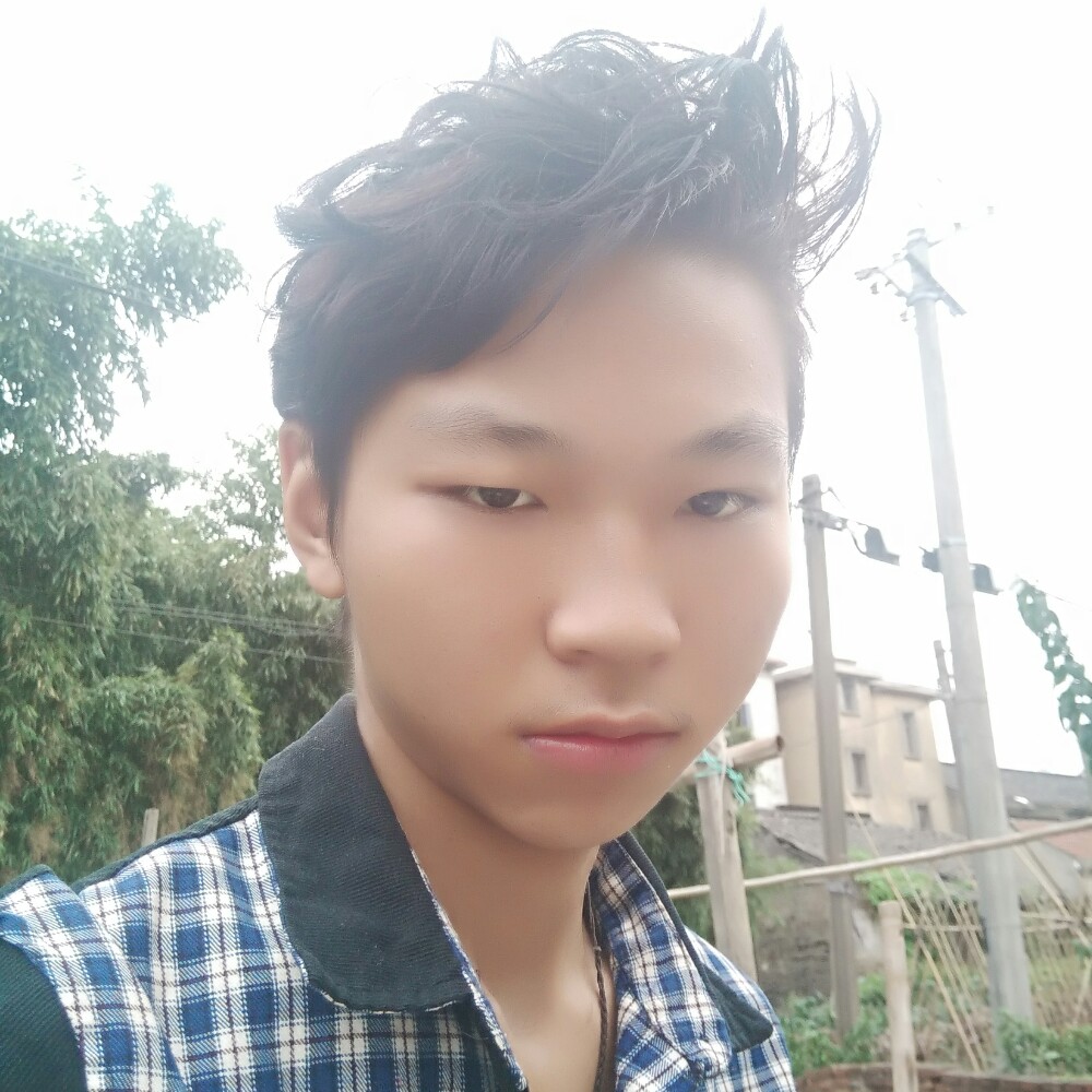 闪闪航空的照片