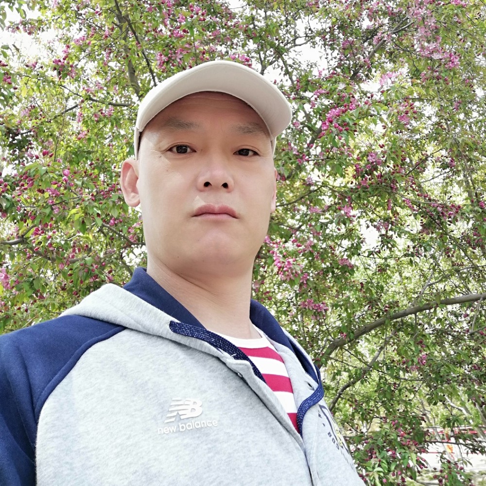 枫叶等待酷炫的照片