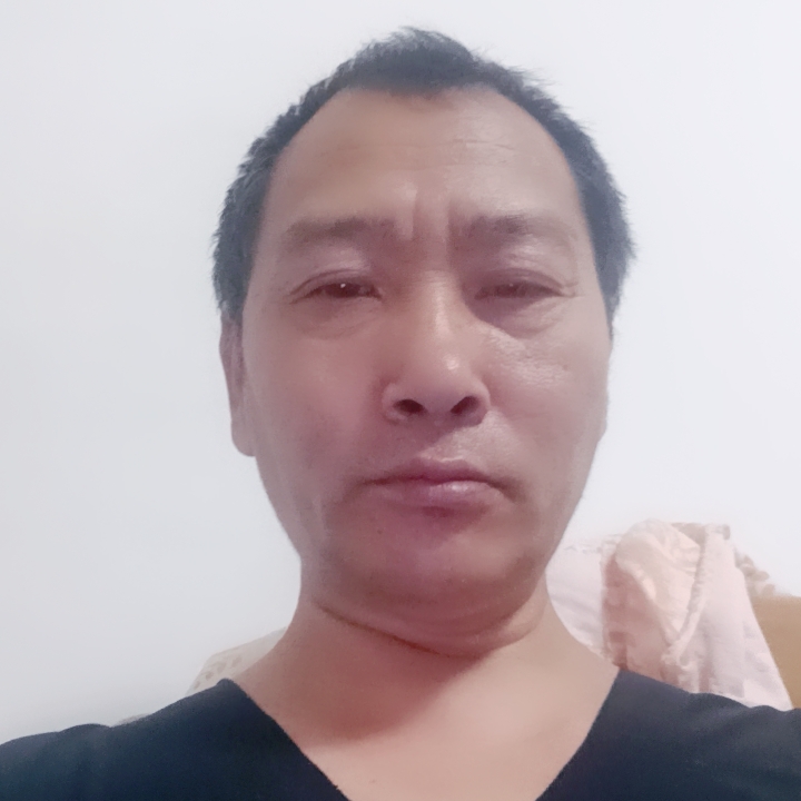 稳重猎豹686的照片