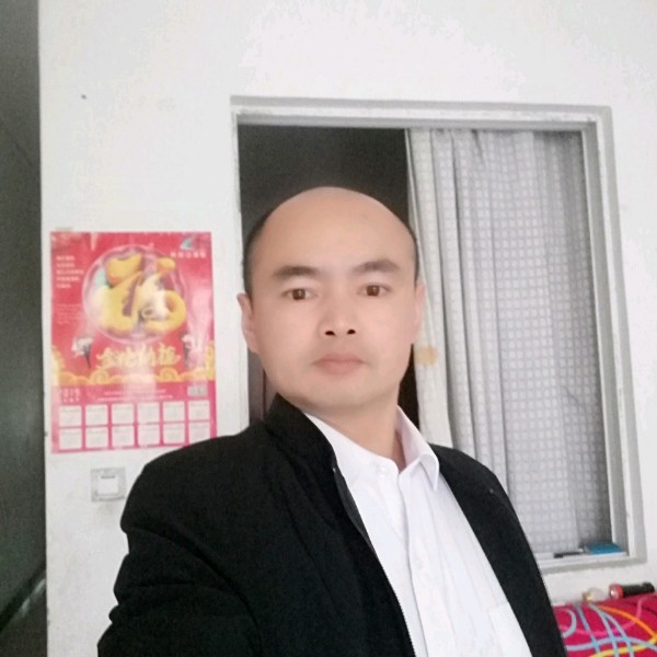 纸鹤回首的照片