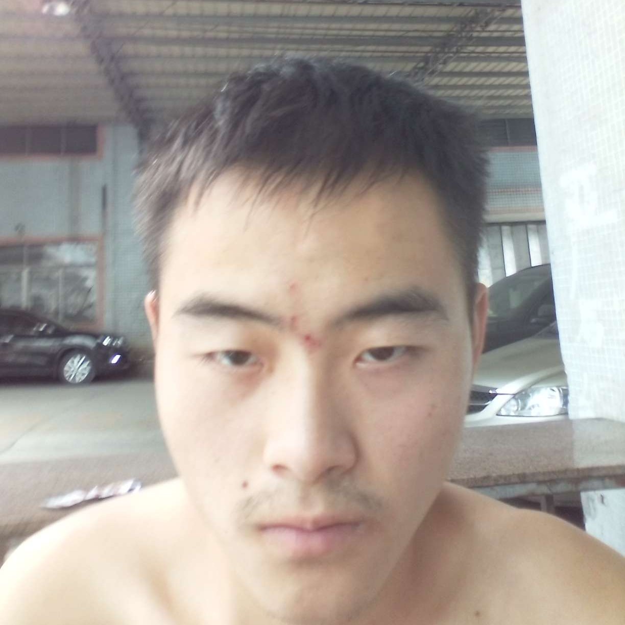 结实凝眸曲奇的照片