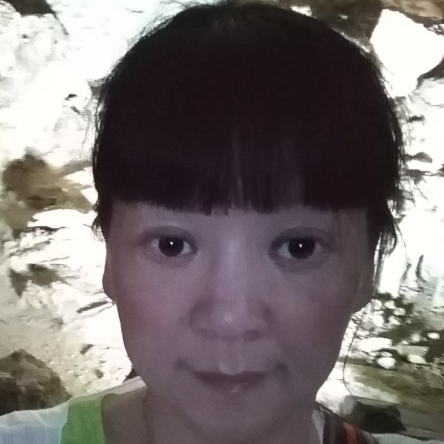 小海豚年轻的照片