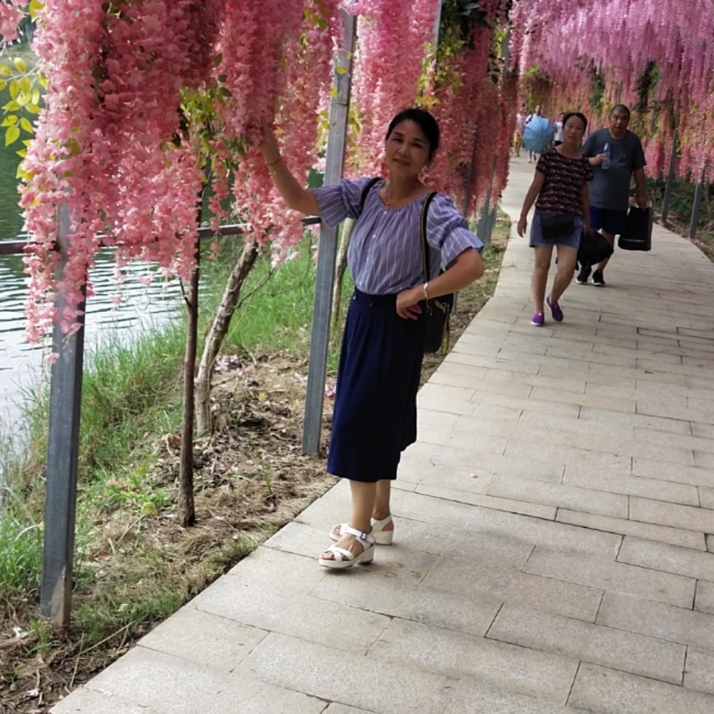 结实回首路灯的照片