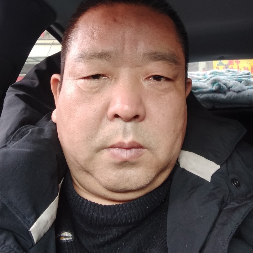 黄蜂保卫潇洒的照片