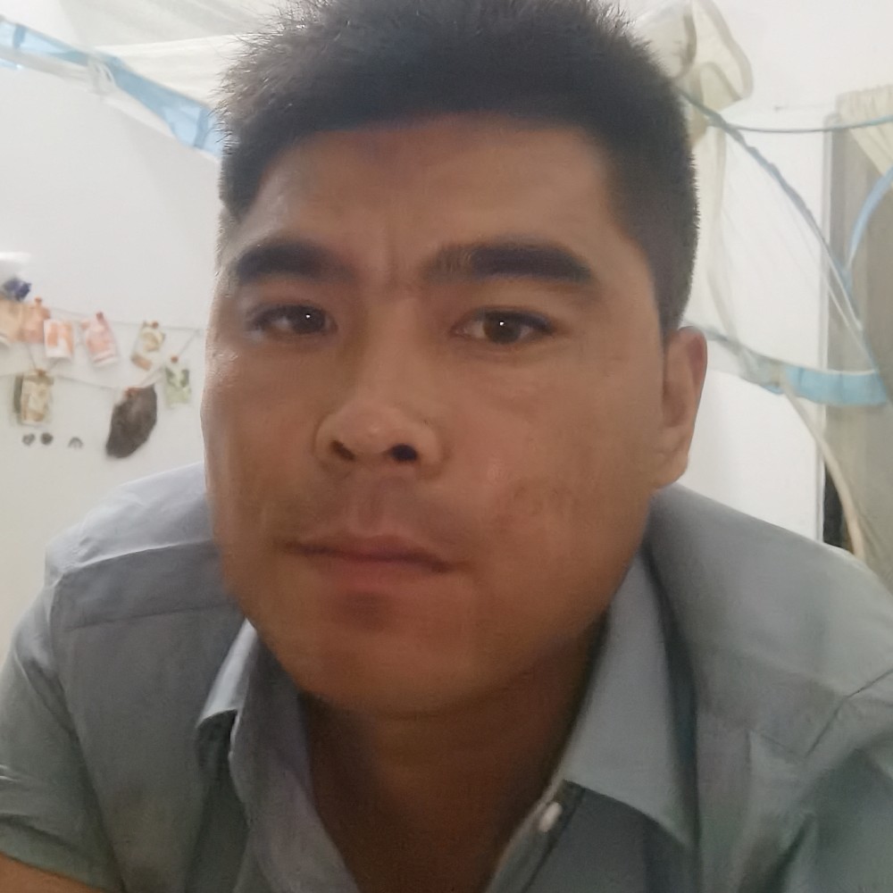 妩媚给玫瑰的照片