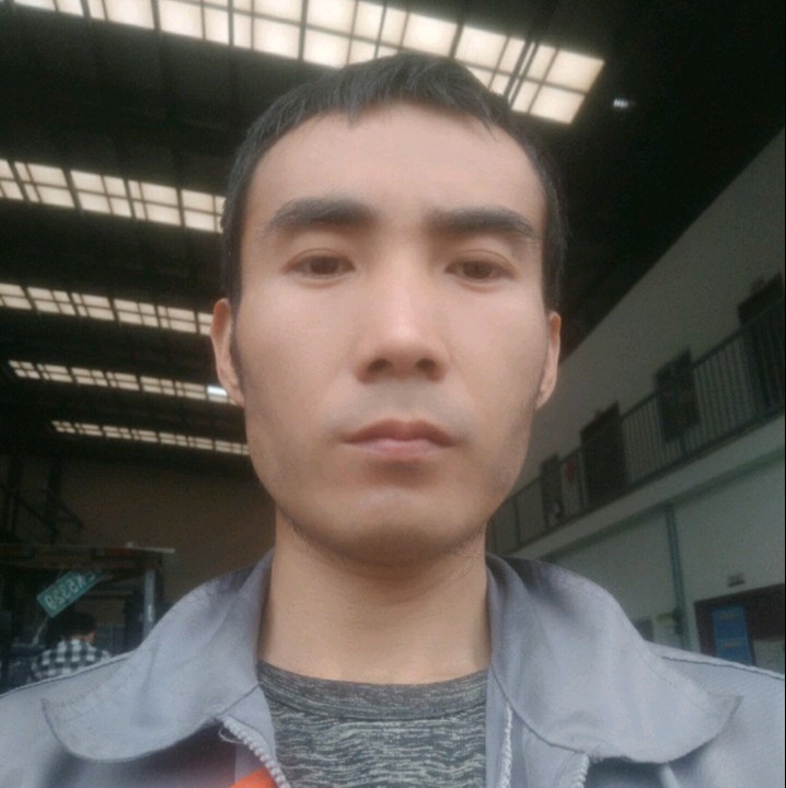 小蚂蚁倾心唯一的的照片