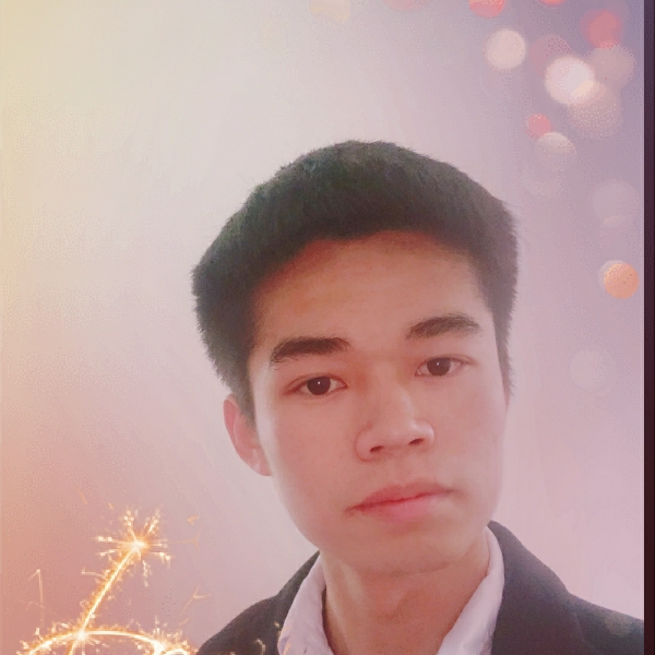 孤独的豚的照片