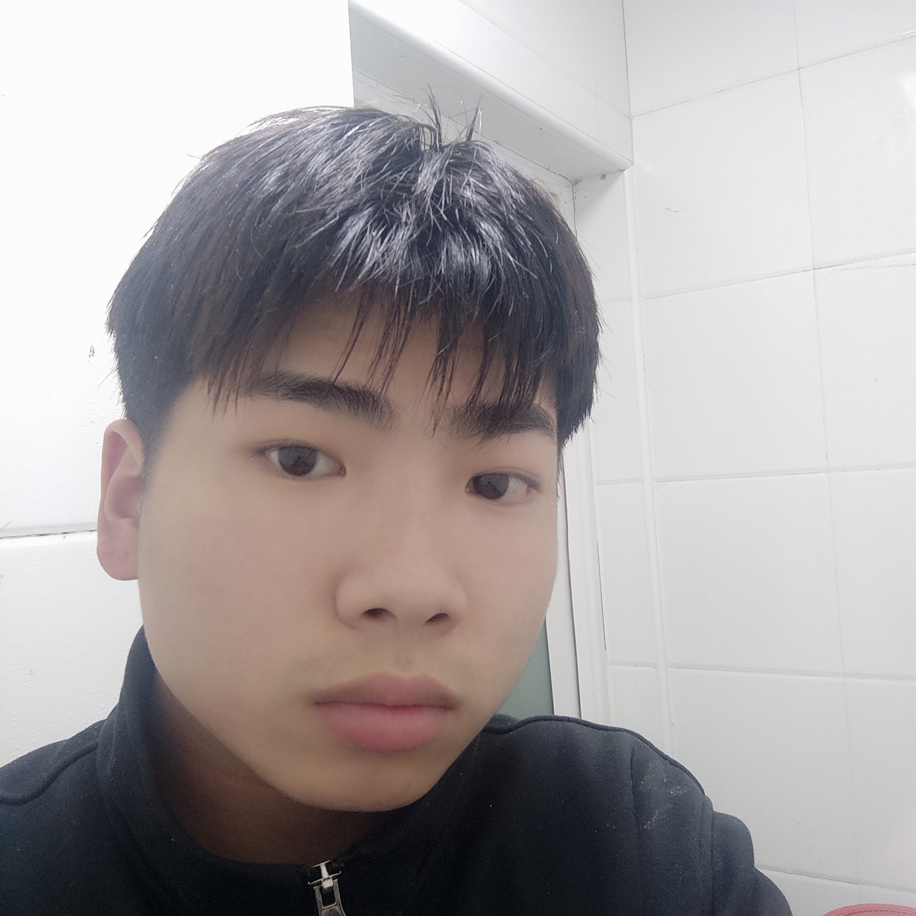 风趣愿冬瓜的照片