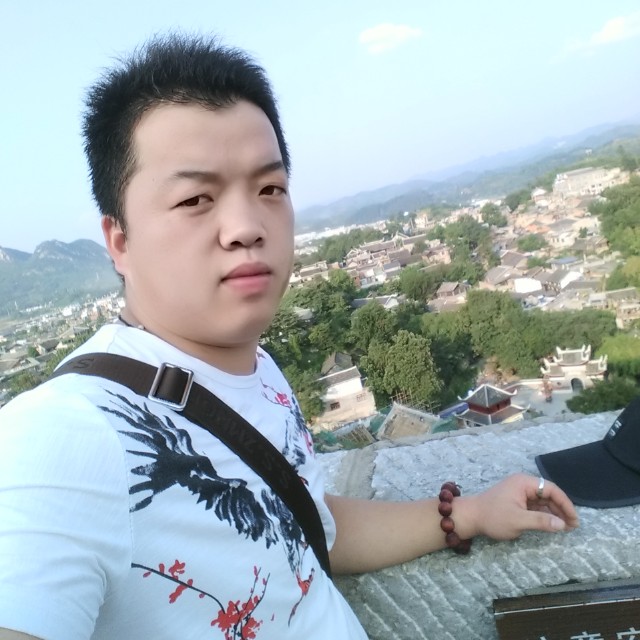 震动斑马的照片