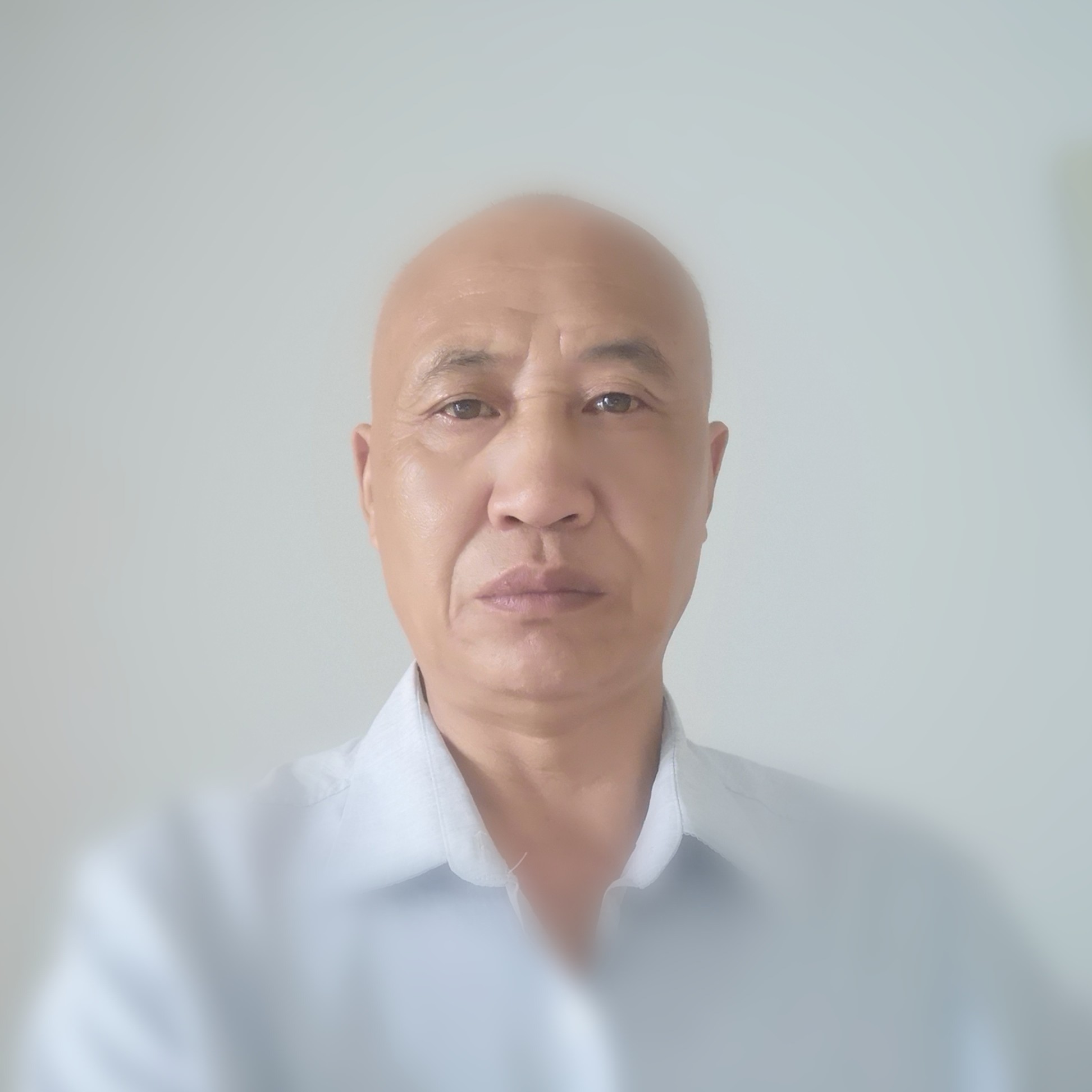鲜花激情的照片